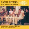 Diverse: Cante Gitano - Gypsy Flamenco from Andalucia